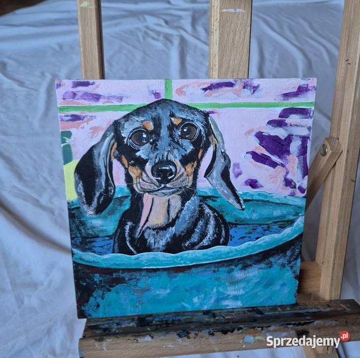 Obraz jamnik jamniczek artysty na prezent na