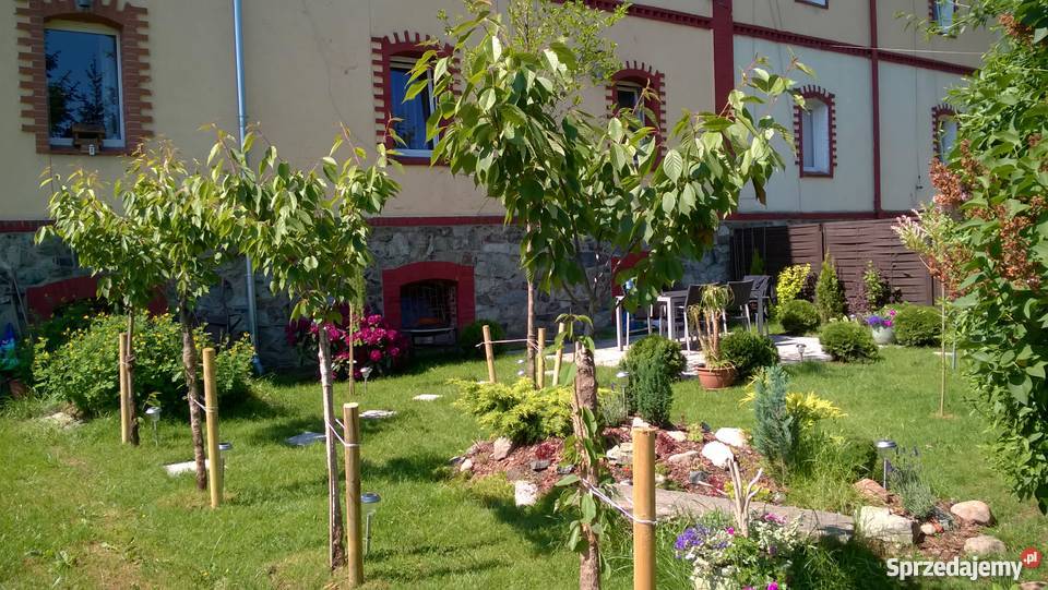 Sprzedam mieszkanie w Jordanowie Śląskim 79m2 Nieruchomości Jordanów Śląski sprzedam