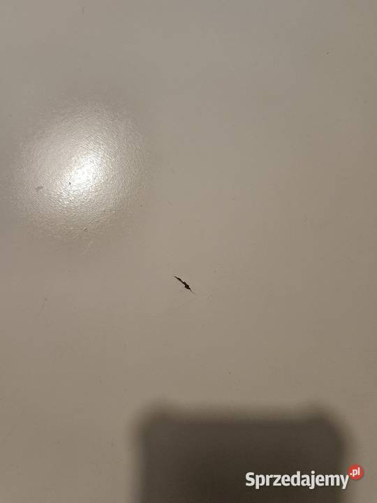 STÓŁ Z DREWNA IKEA pomorskie Bojano