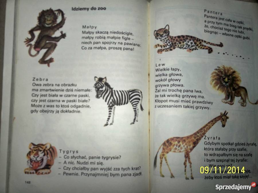 W szkole im na wakacjach Irena Słońska Książki dla dzieci Gniezno