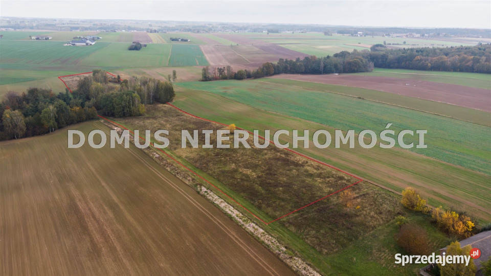 sprzedaży gruntu 3000m2 Jasień 55m