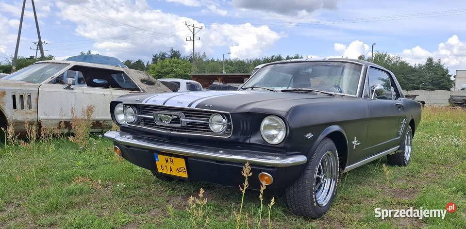 Mustang GT 289 z 1966 roku pełna renowacja