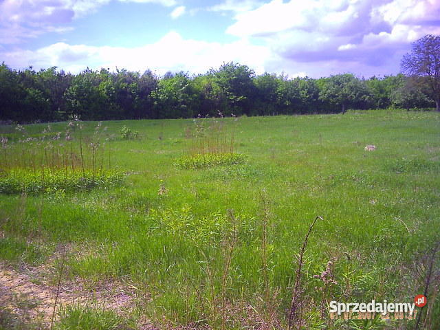 Działki Załuski gaz