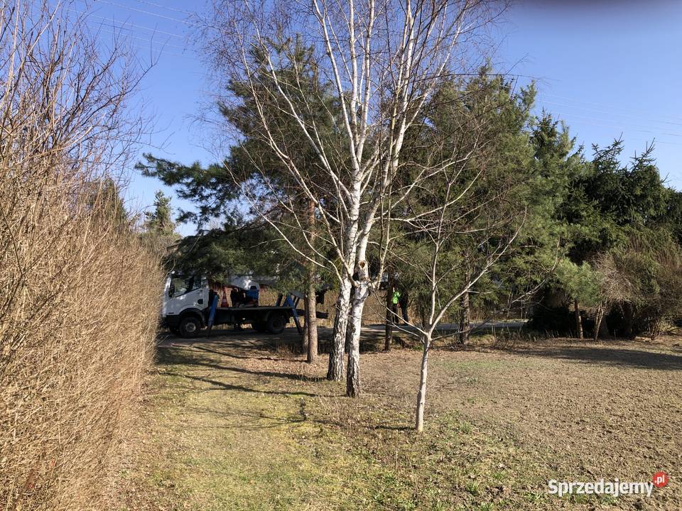 Działka ROD Zalesie Rzeszów