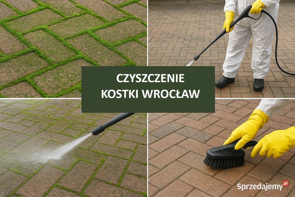 Czyszczenie kostki brukowej z mchu i chwastów dolnośląskie Wrocław