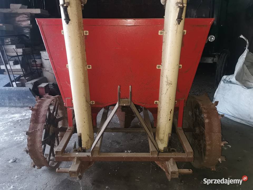 Sadzarka wielkopolskie Kalisz