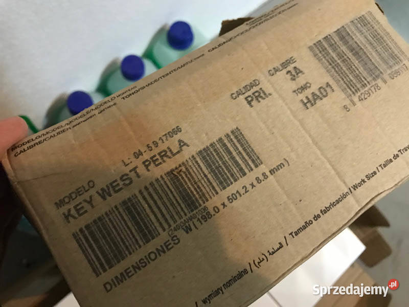 Płytki Evo Ceramika Key West Perla 20x50 Kielce