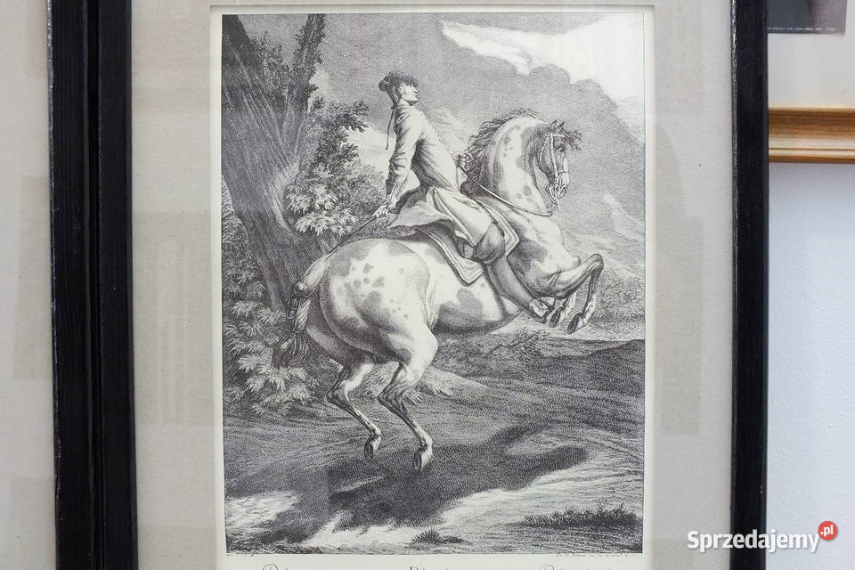 Johann Elias Ridinger Zestaw 2 miedziorytów 1734 Malarstwo