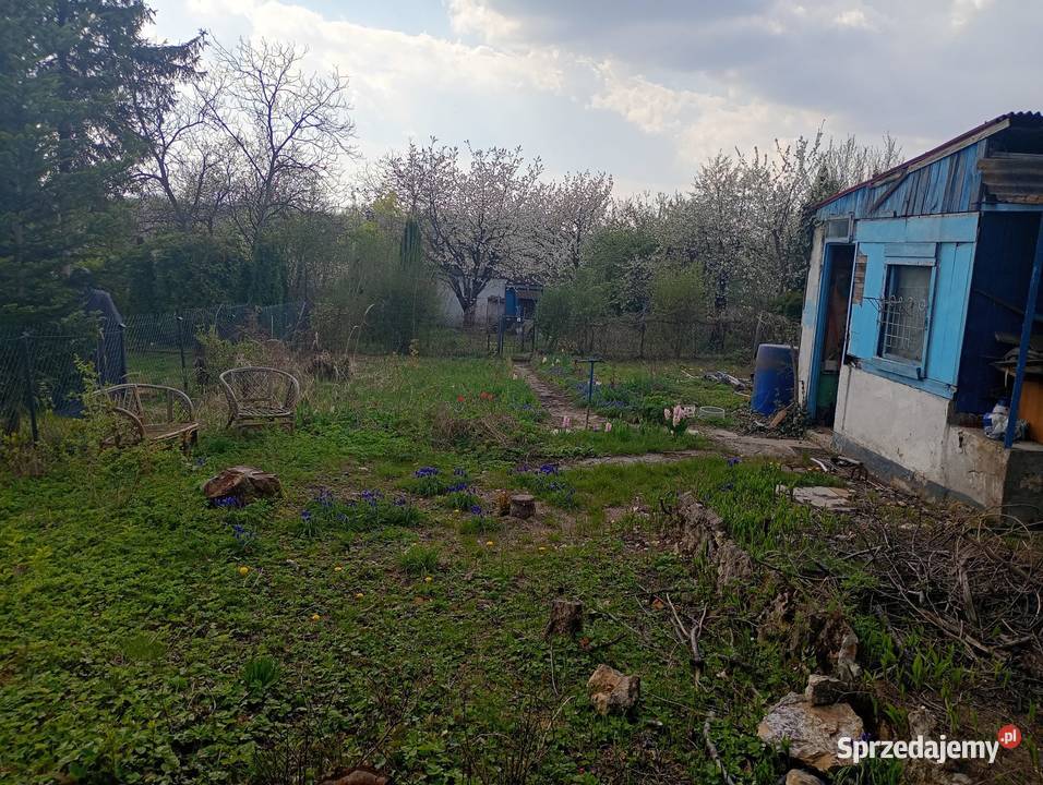Działka ROD Wypoczynek Będzin śląskie