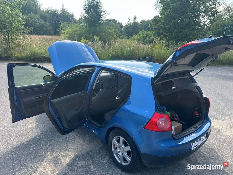 Volkswagen Golf V 2004 16 FSI 116 dolnośląskie Zgorzelec