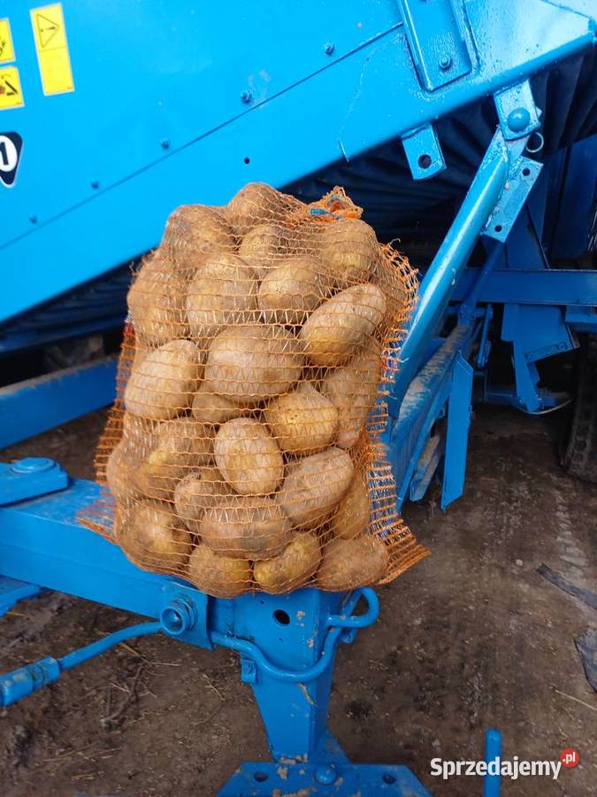 Ziemniaki denar soraya lord dowóz Produkcja roślinna Borowa