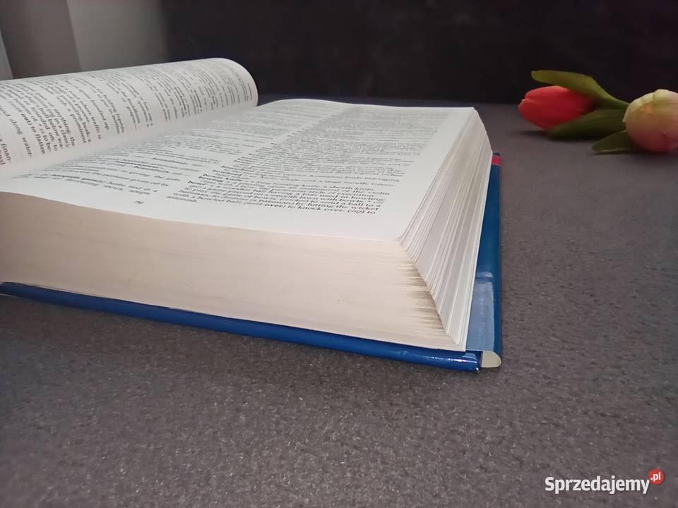 English Dictionary Geddes Grosset Edition dla dorosłych Warszawa