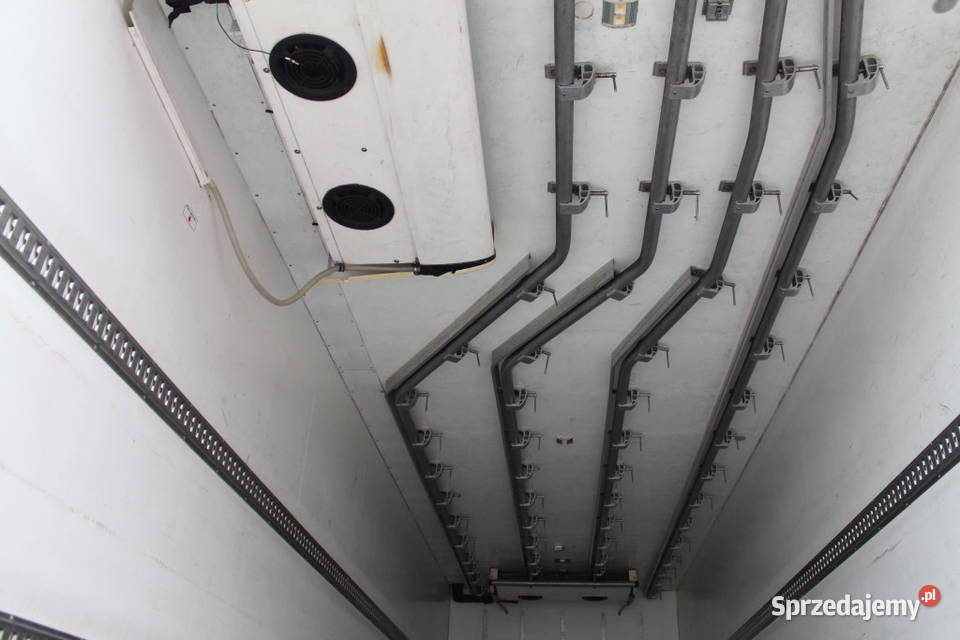 Chlodnia hakowka Man Tgs9 mazowieckie sprzedam