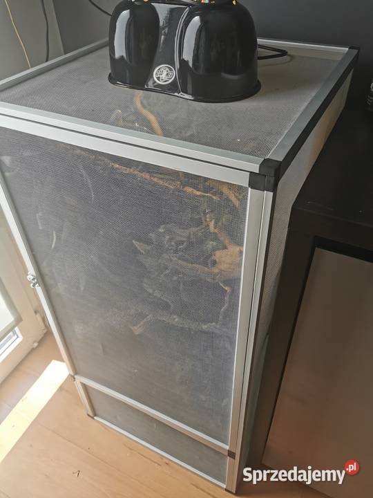 Kameleon jemeński z terrarium i wyposażeniem Gady i płazy