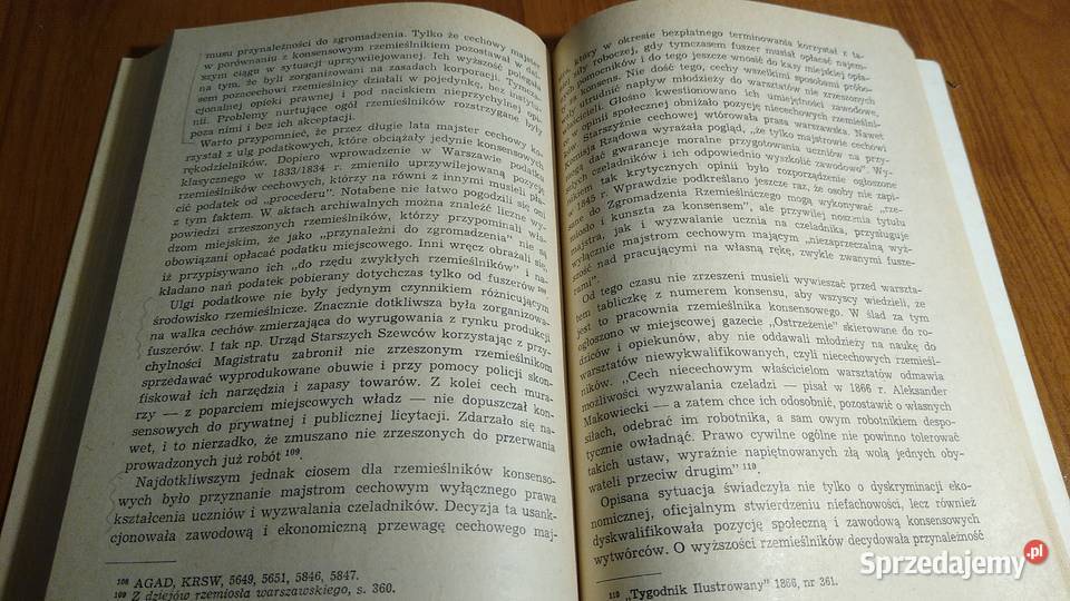 Drobnomieszczaństwo w dziewiętnastowiecznej Gdańsk