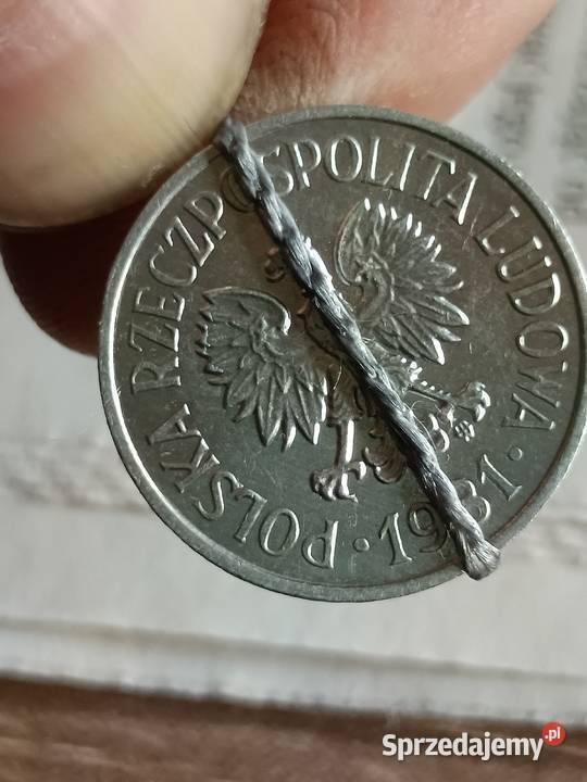 Sprzedam 20 gr 1981 r Chełm sprzedam