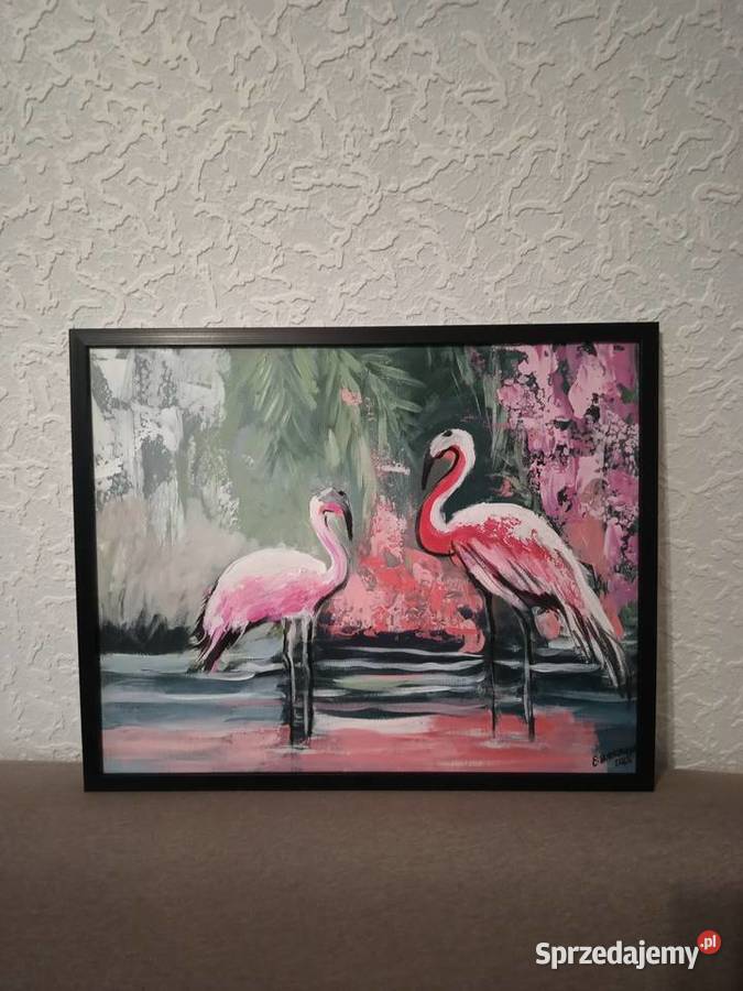 Flamingi Legnica