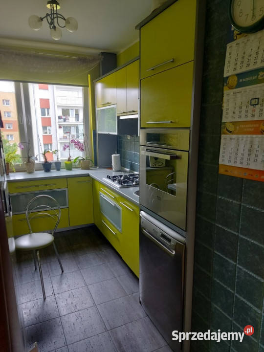 bezpośrednia wynajmę mieszkanie 61m2 Gdynia Liczba pokoi 3