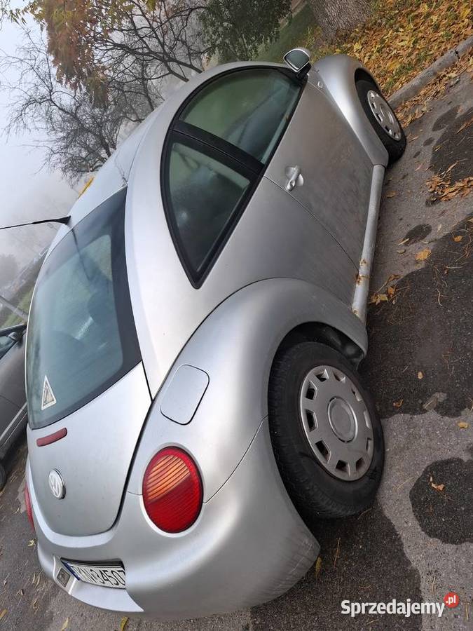 Beetle