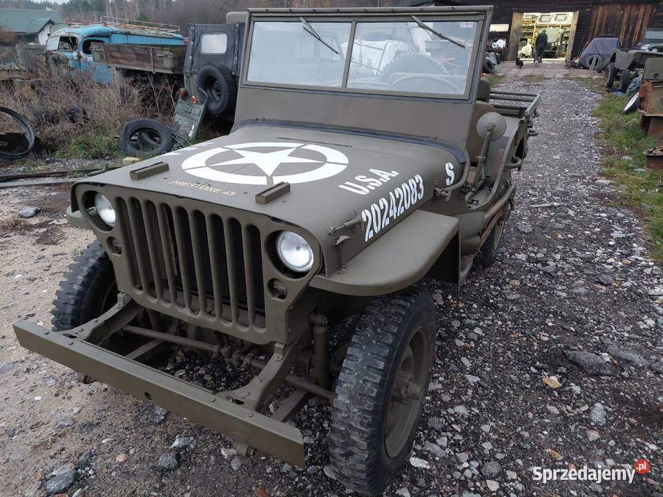 Jeep Willys MB 1942 55KM Pniewy sprzedam
