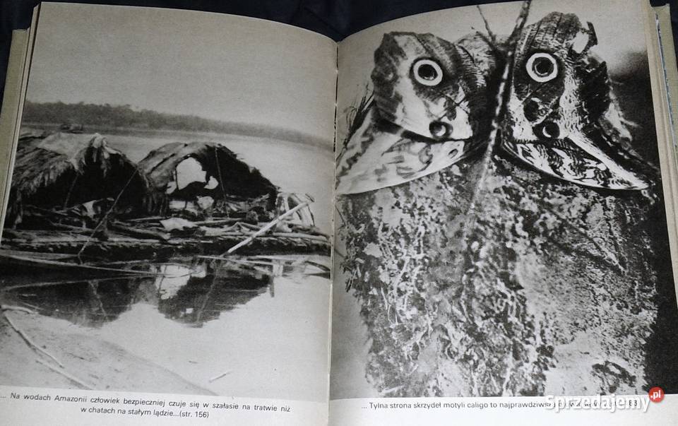 Ryby śpiewają w Ukajali Arkady Fiedler twarda z obwolutą Chełm