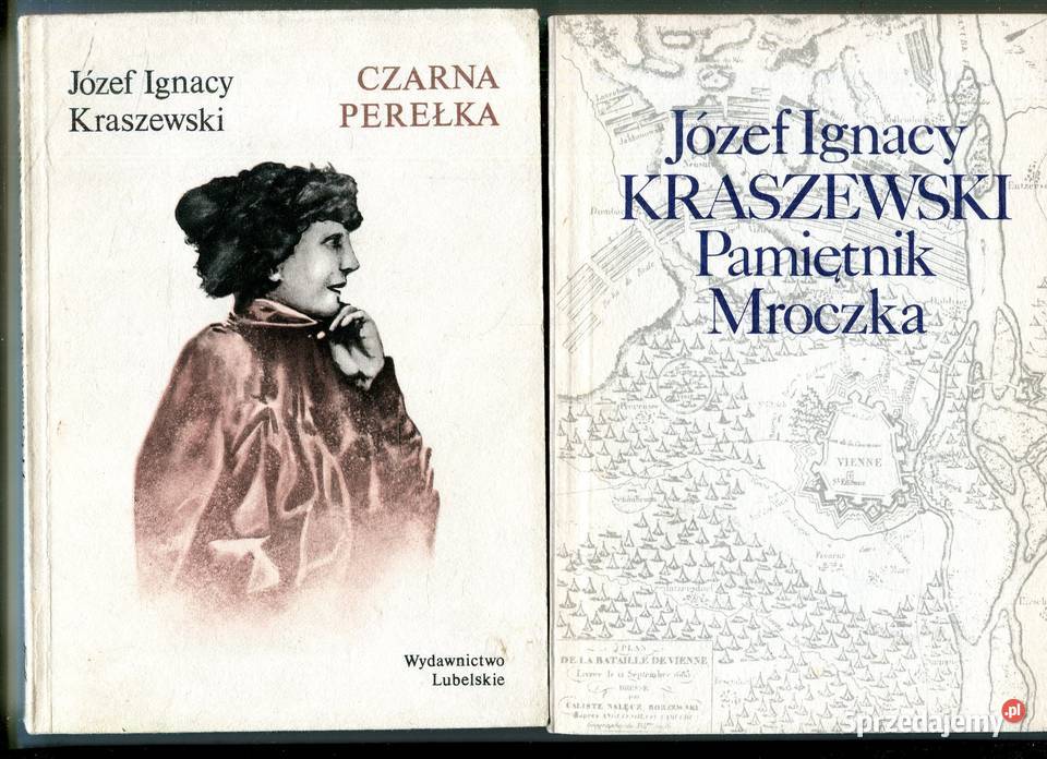 Pamiętnik Mroczka Czarna Perełka Józef Ignacy Szczecin