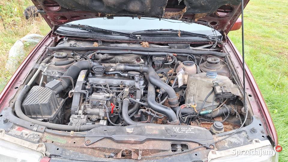 VW Passat B4 19 TDI Kodeń sprzedam