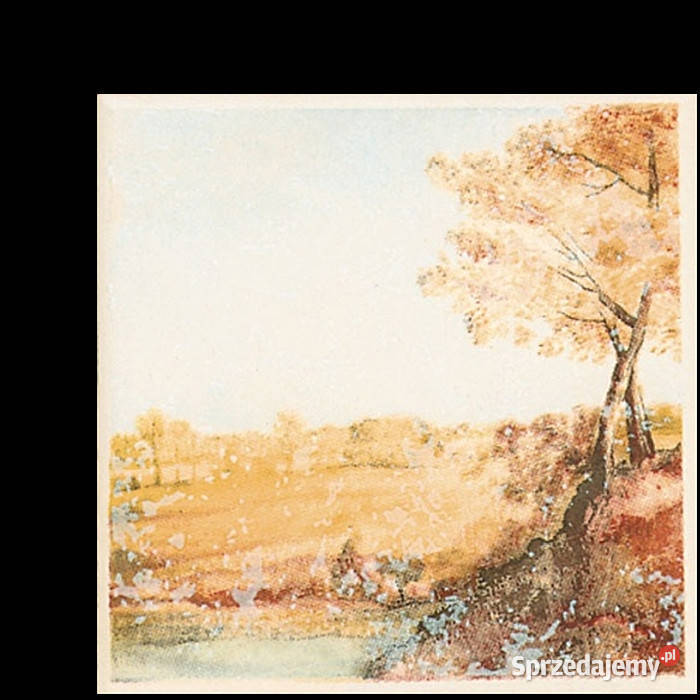 Dekor Sielanka azul Beta 10 x 10 Paradyż płytki zachodniopomorskie