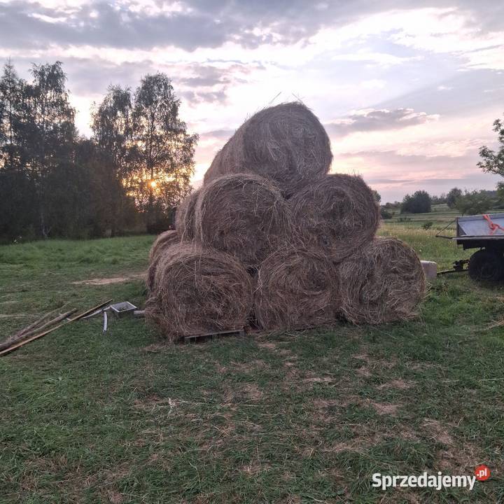 Sprzedam bele siana 120x120 spod flizu Teodorówka