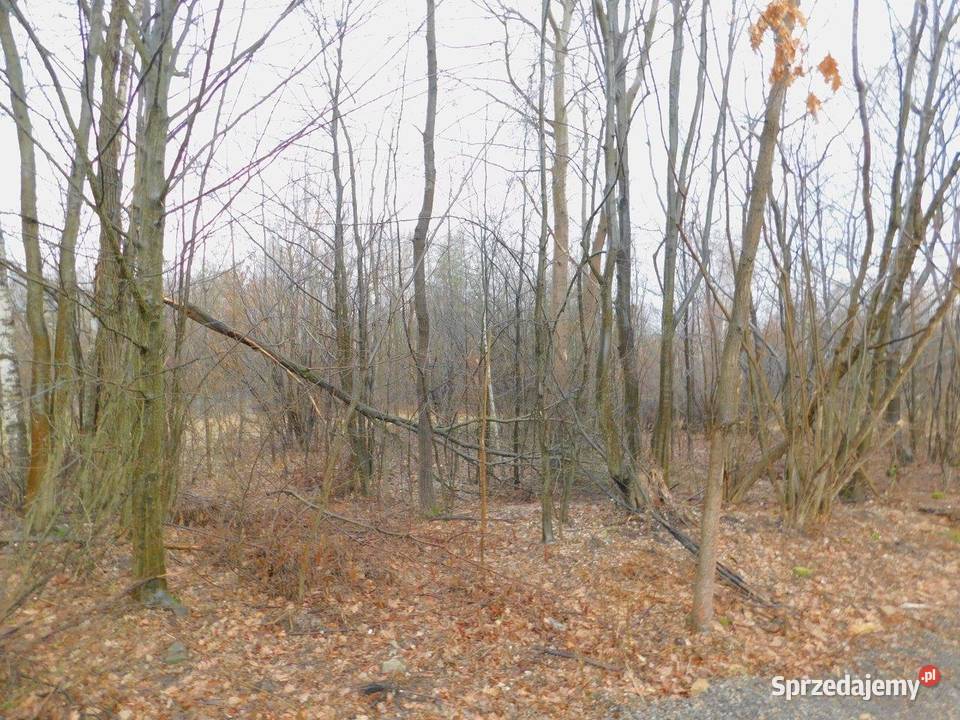 Syndyk sprzeda Stefanków 7zł/m2