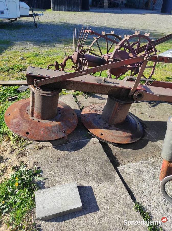 Kosiarka rotacyjna Polska Wielkie Oczy