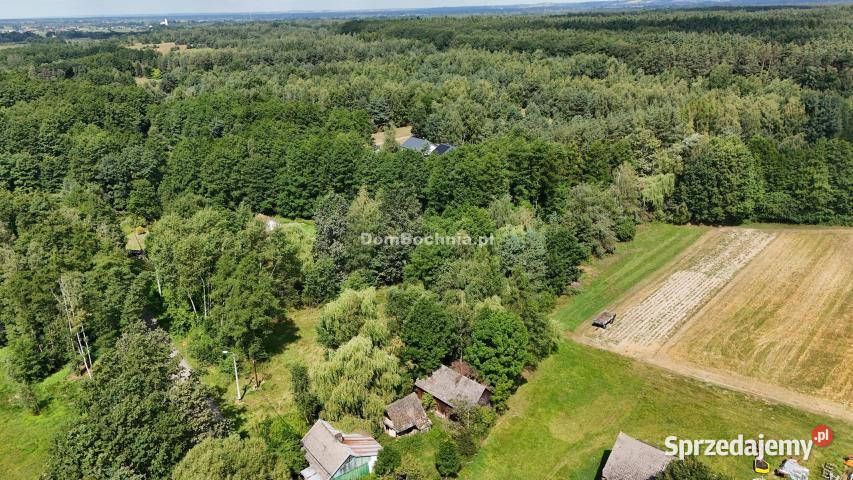 Działka Buczków 1700m2 gaz