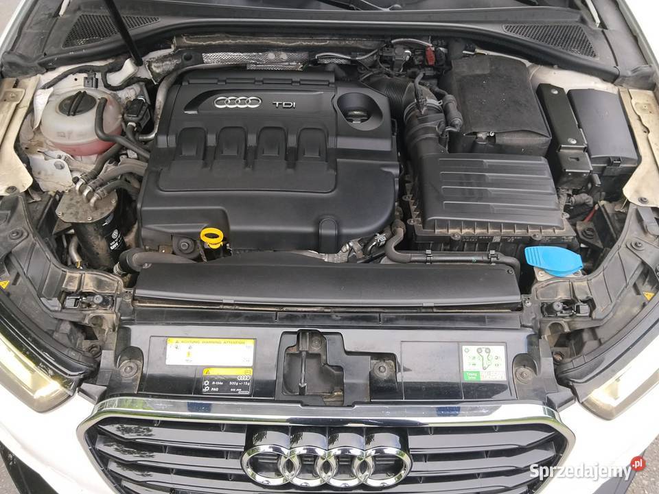 Audi a3 8v 20 TDI