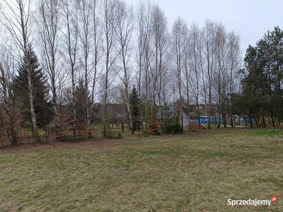 Działka rolna Przeradz gmina Grzmiąca 100m