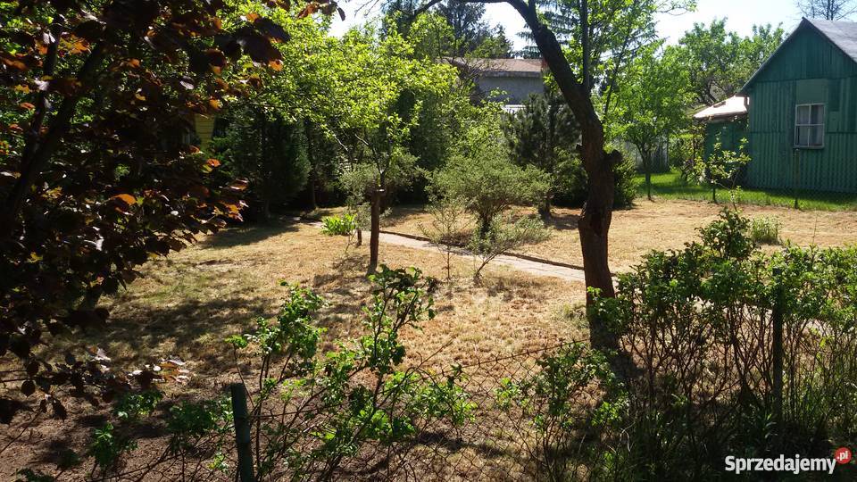 Sprzedam działkę ROD Paluch Miejski Warszawa 300m2