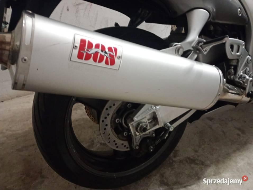 Tłumiki BOS stan Golub-Dobrzyń