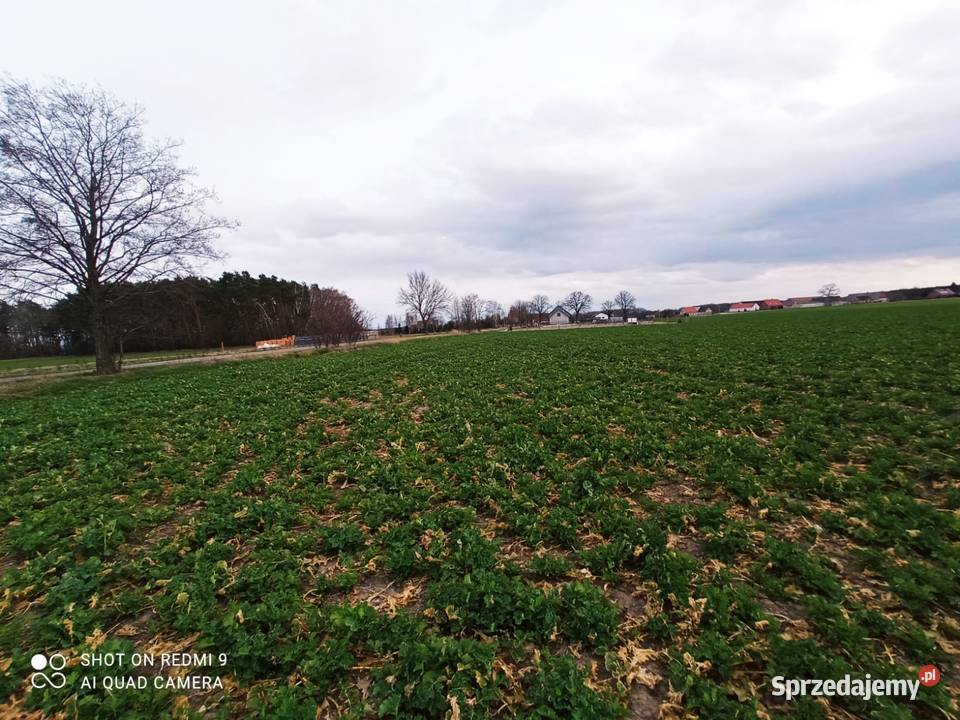 Działka budowlana Rudniczyn koło Wągrowca 1000m2