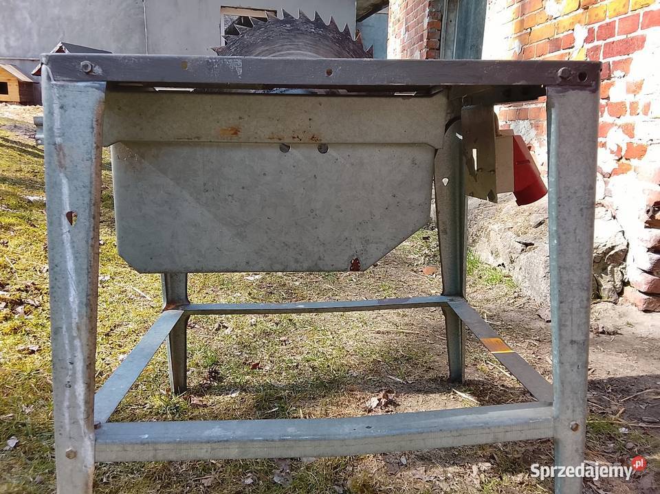 Krajzega pomorskie Piesienica