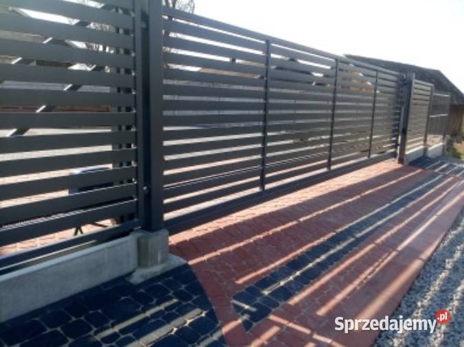 Brama jezdna D02 ocynk kolor dowolne wymiary Dom i Ogród Gorlice