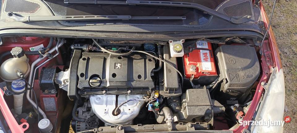 Peugeot 307 16 bg 1600cm3 Grudziądz