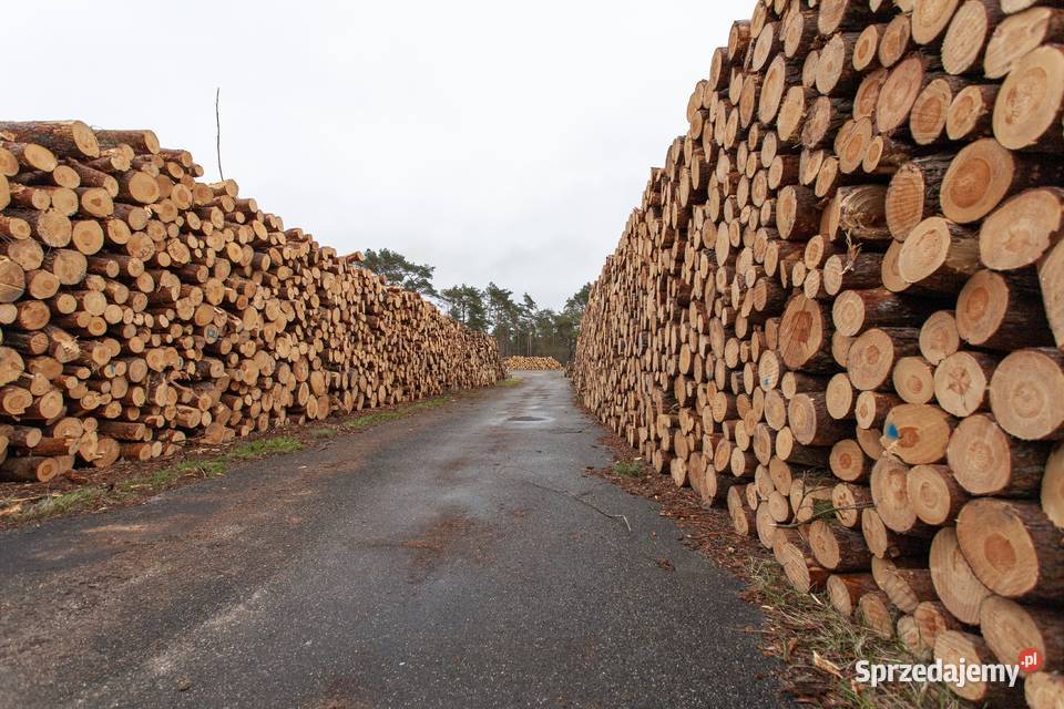 Drewno Kominkowe Na Sezon łódzkie