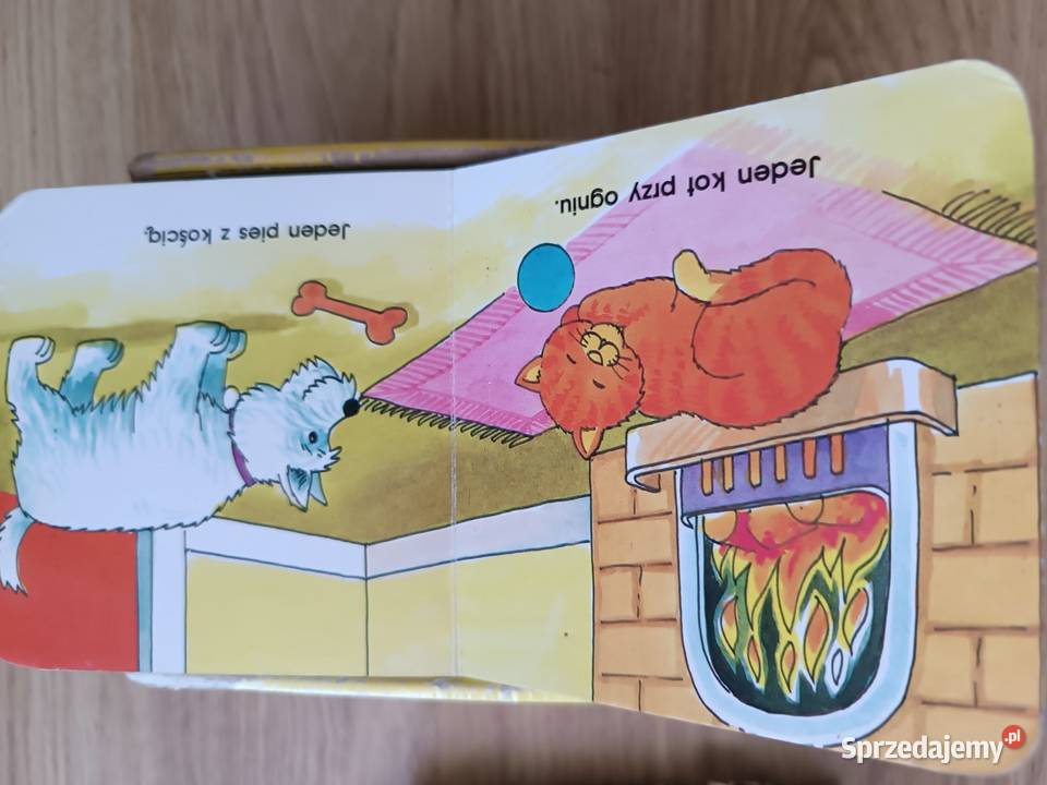 Cyfrowy domek niedźwiedzi 10 Zabawki Lublin sprzedam