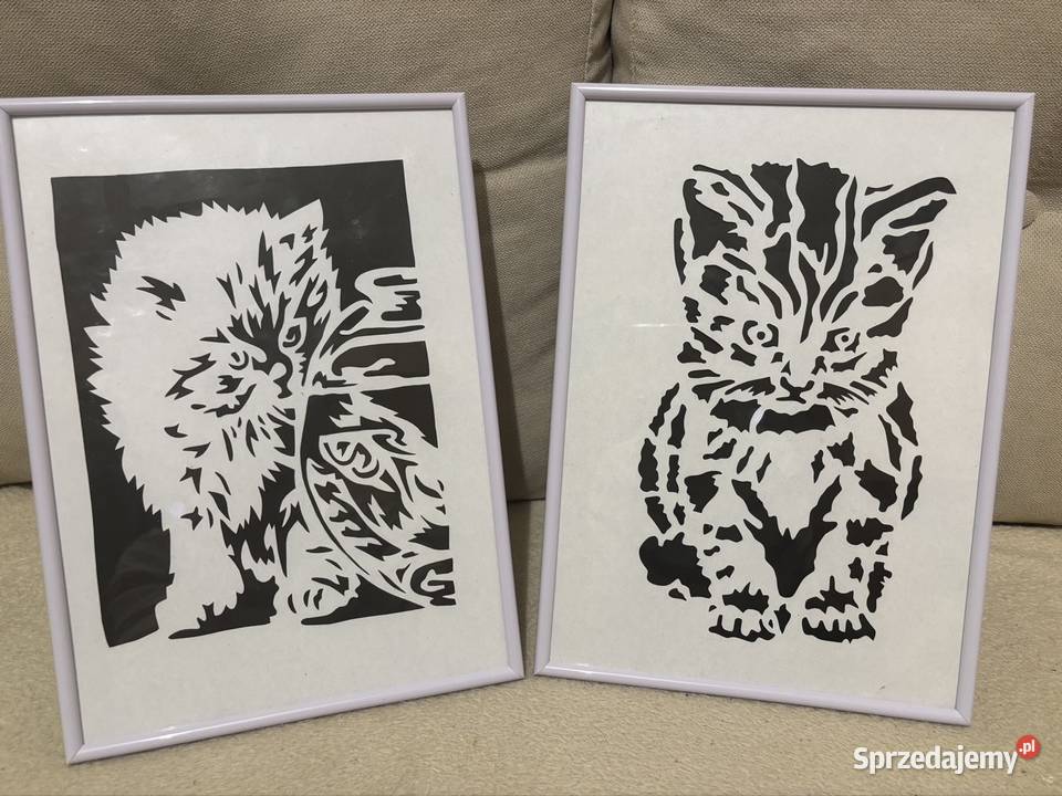 PSY I KOTY łódzkie Sieradz