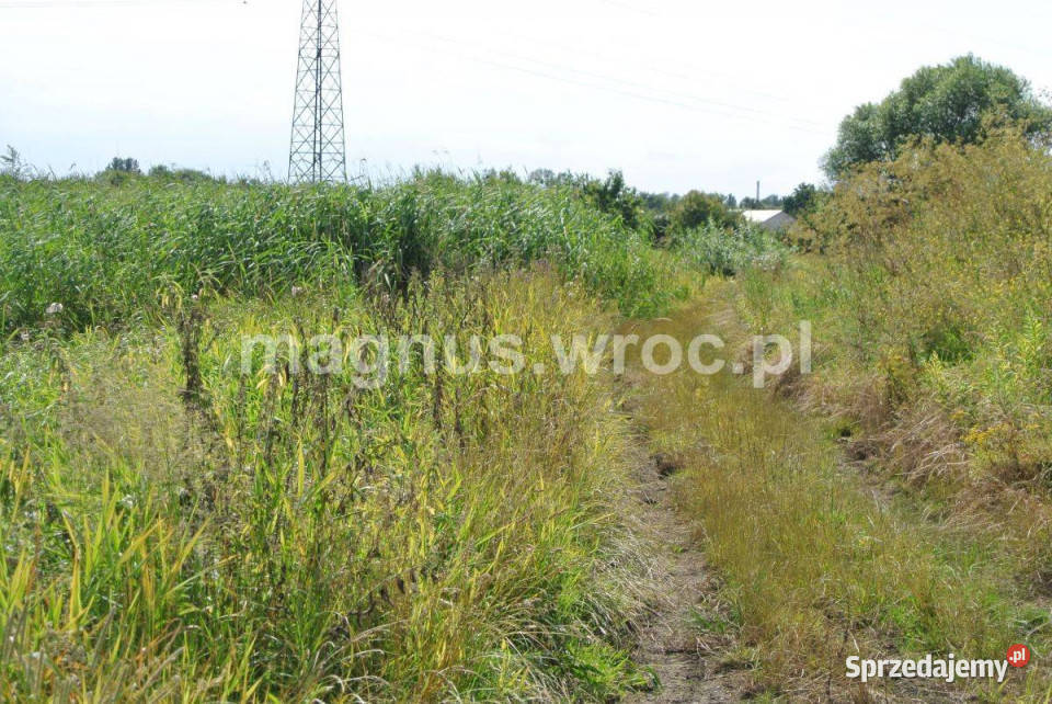 Działka rolna w sercu Wrocławia Widawą Kowale Wrocław