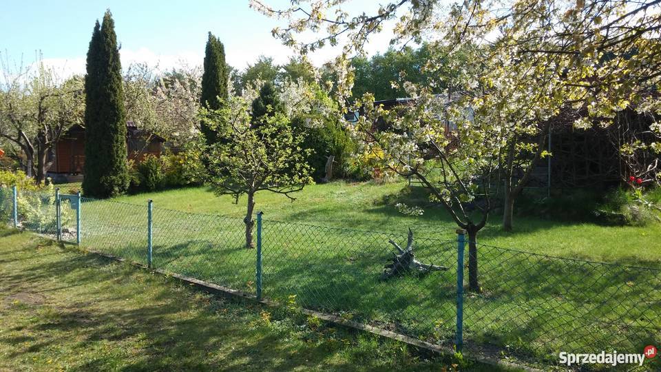 Sprzedam działkę na ROD Domagalskiego w Gdyni Gdynia