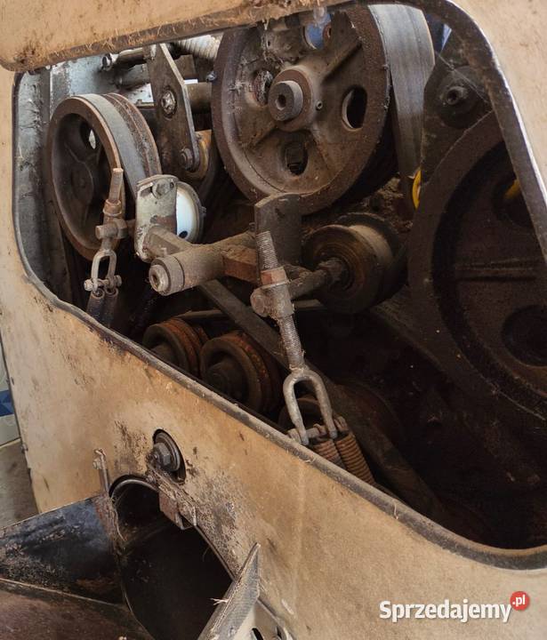 Szczotkarka Michalak