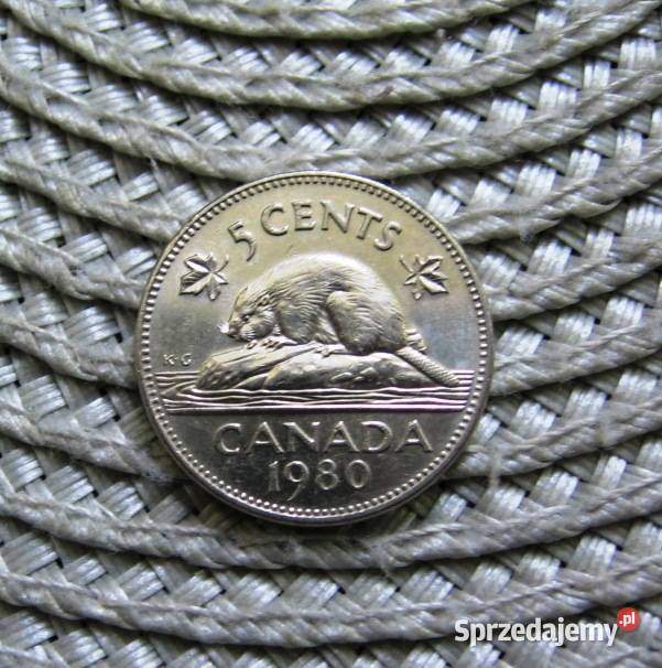 Kanada 5 Cent 1980r Ładna Kalisz