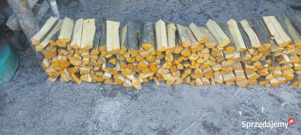 Drewno kominkowe opałowe brzoza dąb olcha osika Wołomin