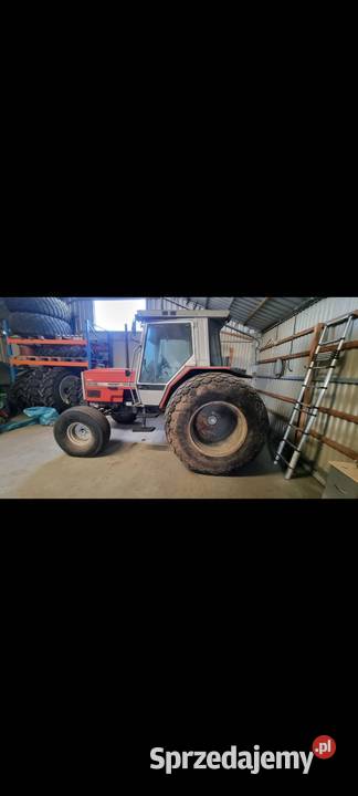 Ciągnik Massey Ferguson 3050 Gniezno