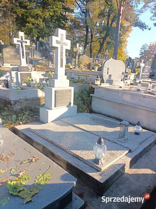 Regeneracja pomników Lastryko i inne Pozostałe